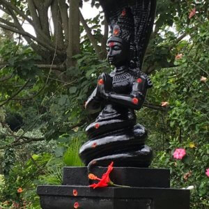yoga sutras