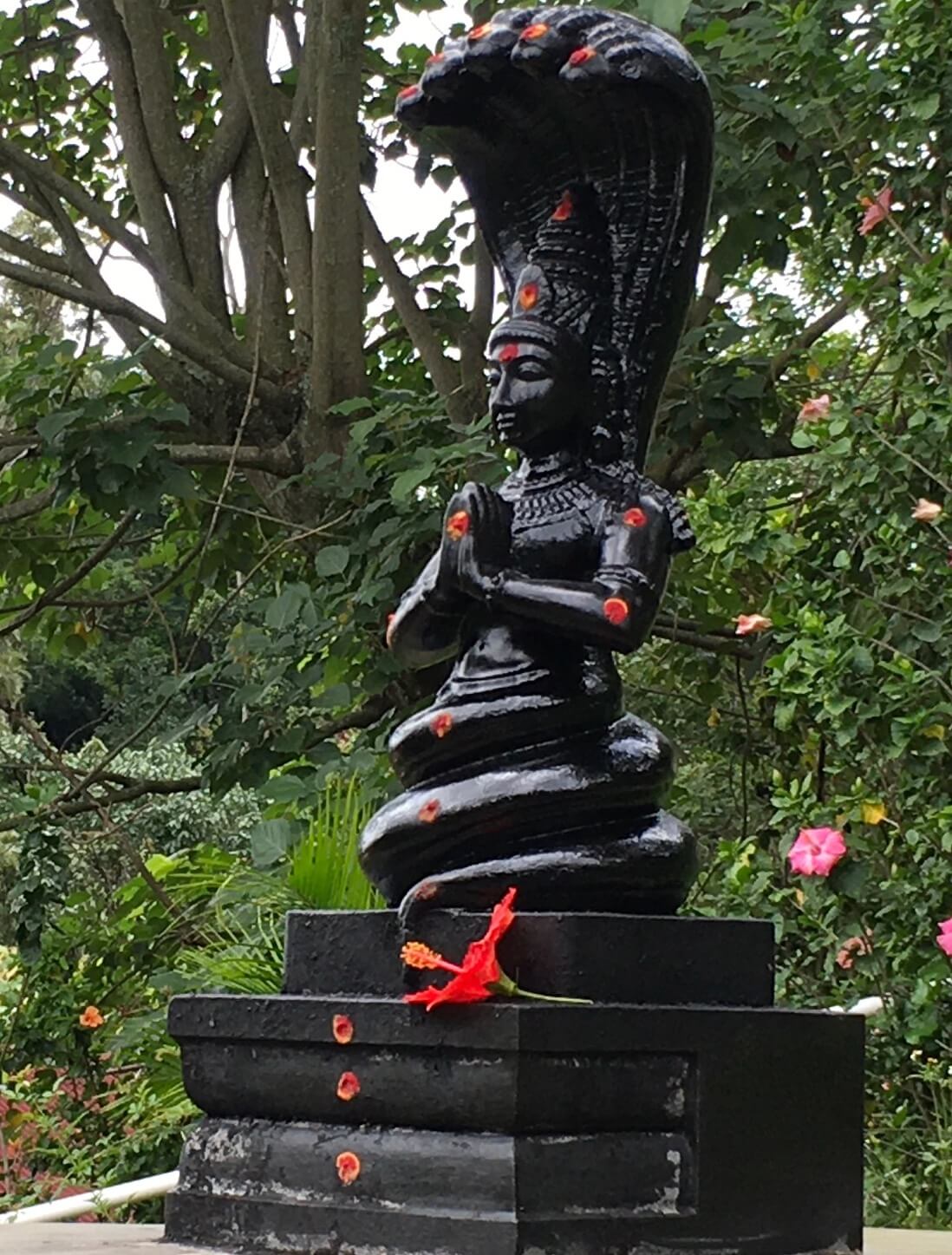 The Yoga Sutras of Patanjali Course