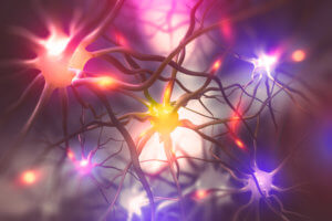 Hindu Contributions to the world in the realm of matter