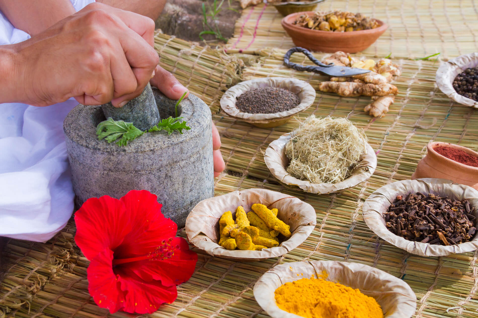 Applied Vedic Science – Basic (Ayurveda)