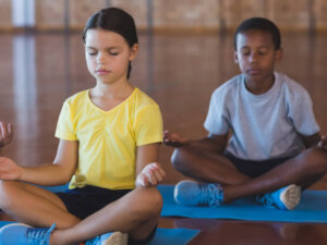 Internship and Practicum in Teaching Holistic Yoga