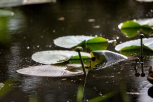 2022.10.30-PineLakeRetreat-127