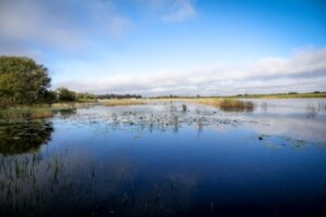 2022.10.30-PineLakeRetreat-134