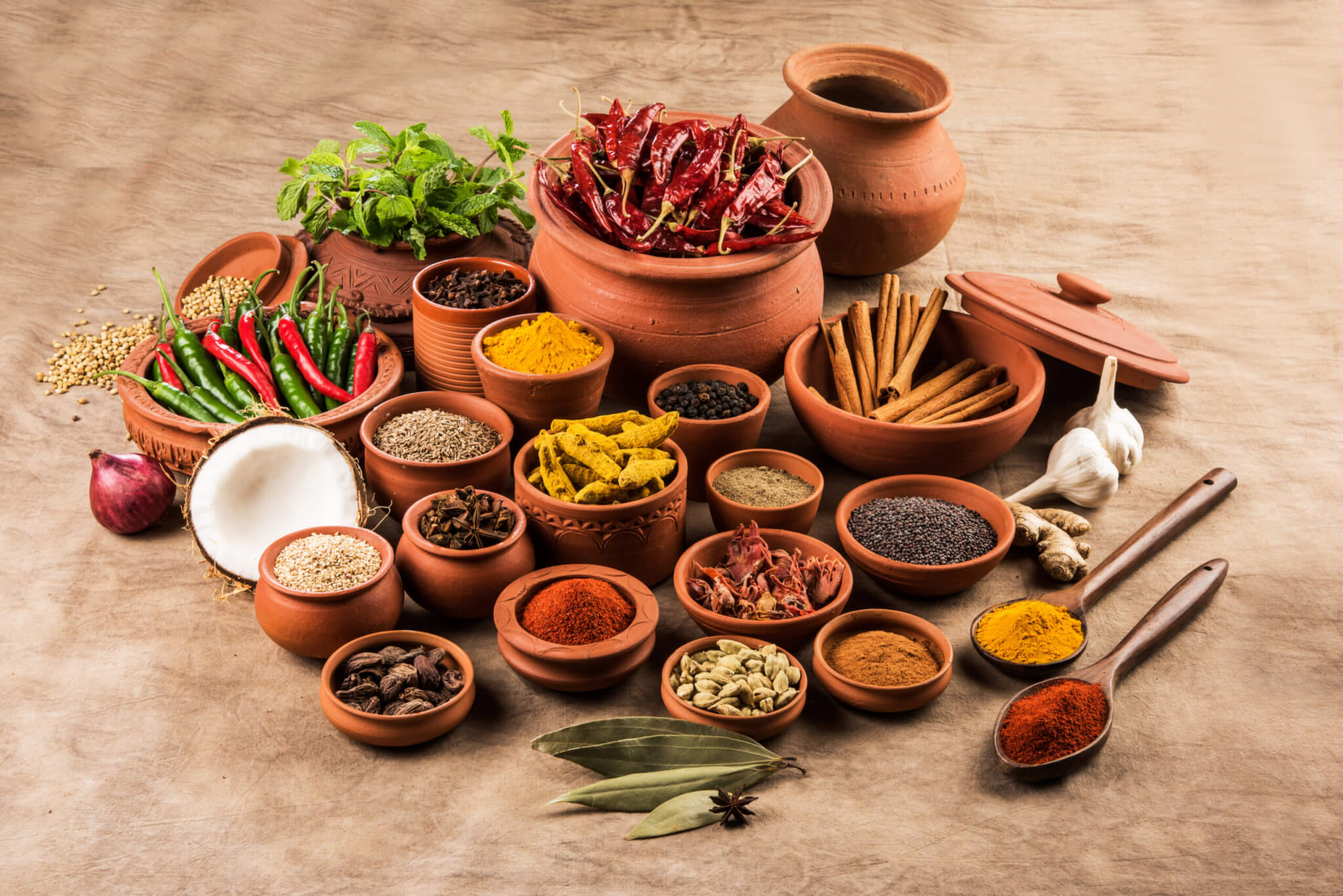 Ayurveda: Therapeutic Cooking for Healthy Living