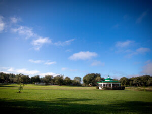 Ayurveda Wellness Retreat