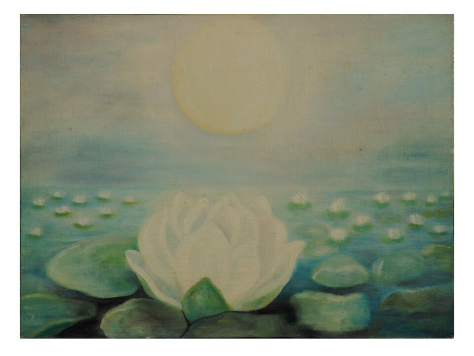 Integral Yoga: The Path to Conscious Evolution